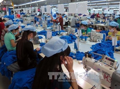 L’industrie textile du Vietnam envisage une croissance entre 6,5% et 7% - ảnh 1